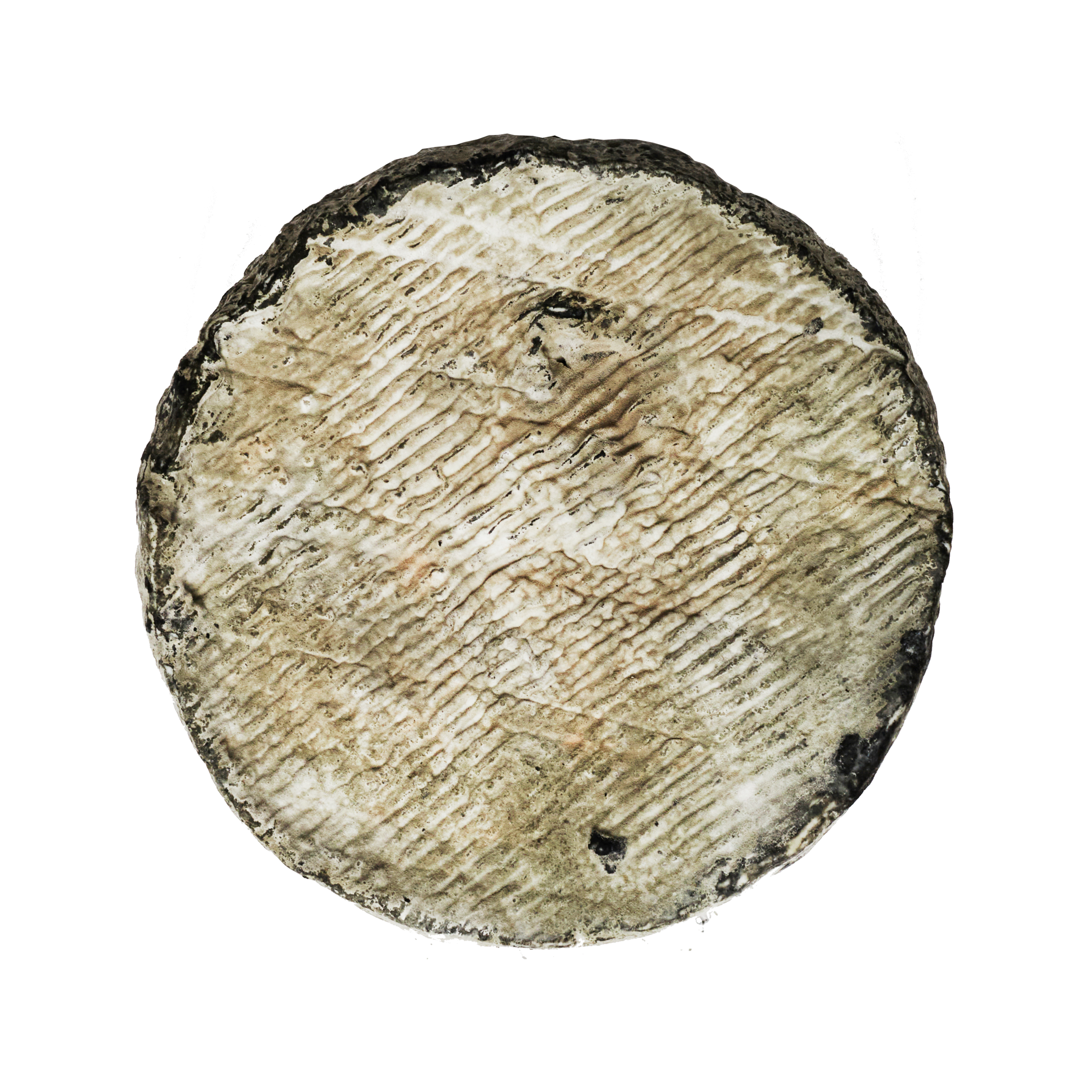 Persillé de Chèvre ca. 1,3 kg Persillé de Chèvre ca. 1,3 kg